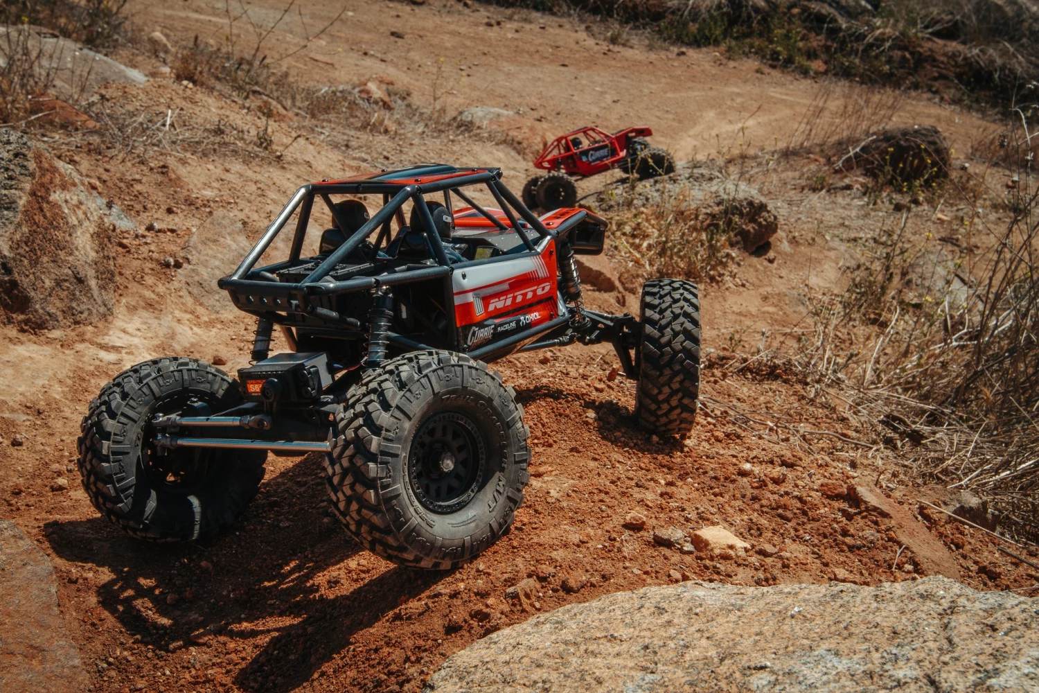 Axial Online Shop -Axial Online Shop 257611043 10159176674940873 3344602893903822105 n